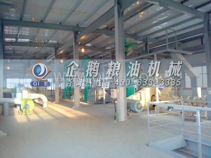 如何提取到高質量的大豆油？一條企鵝浸出生產線就足夠了(圖2)